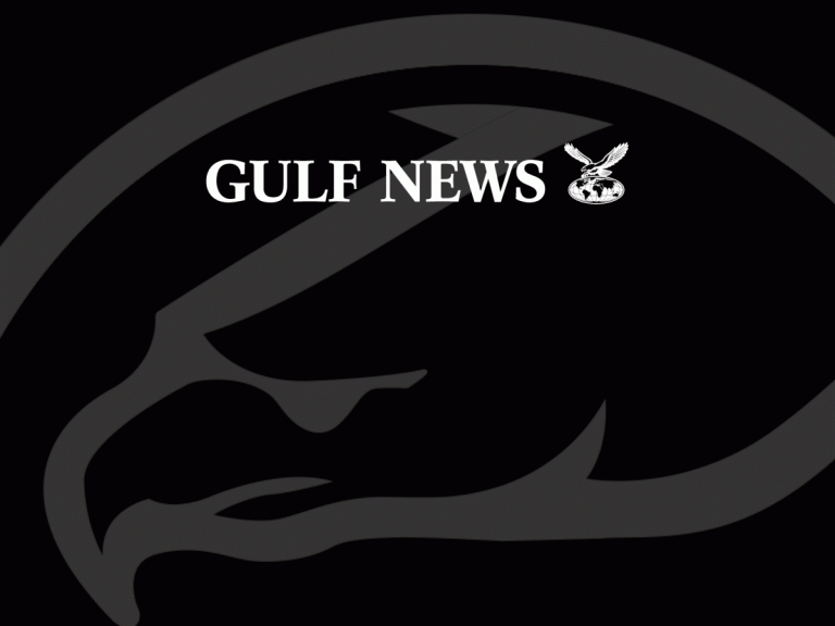 Indian expat, daughter die in drowning incident in Sharjah