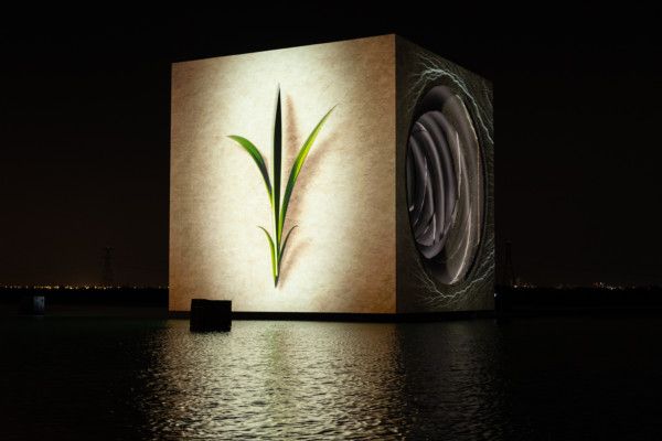 Watch ‘The Seed’, the moving sculpture showcasing UAE’s history in Abu Dhabi