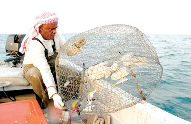 نرحّب بمبادرة مجلس الوزراء وعودة الصيد بالمياه الإقليمية سيُنعش البحارة