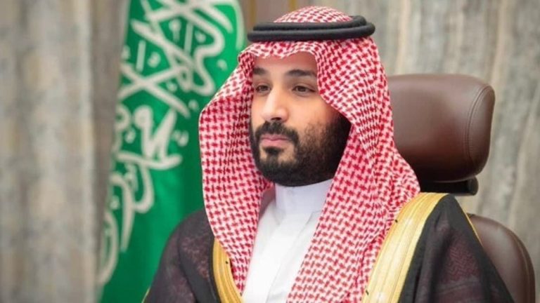 الأمير محمد بن سلمان يطلق شركة السودة للتطوير بـ 11 مليار ريال