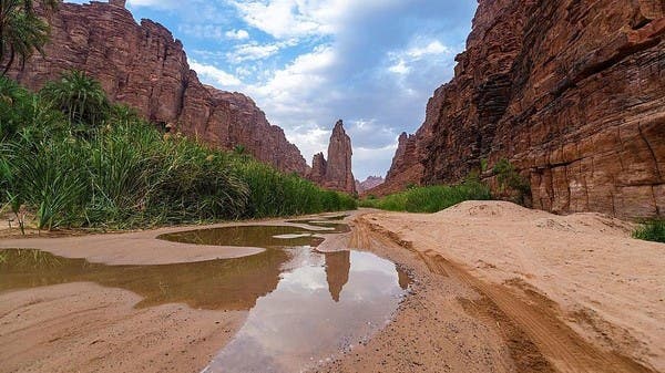 صور للديسة.. وجهة سياحية في “شتاء السعودية”