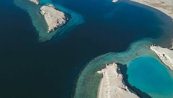 منح 100 عقد إنشاء بـ5 مليارات ريال قريباً في “أمالا” السعودية