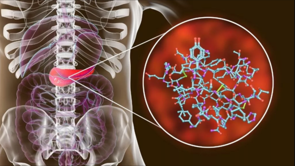 دراسة صادمة: كورونا يتسلل للبنكرياس ويصيب بعض المرضى بالسكري